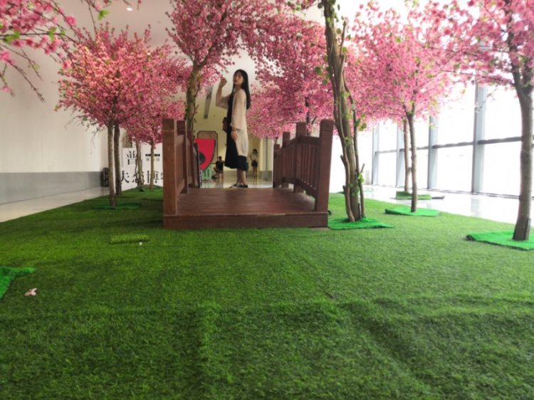 소소-广东省·揭阳市·普宁市--会p图,会找风景,身高165,体重104