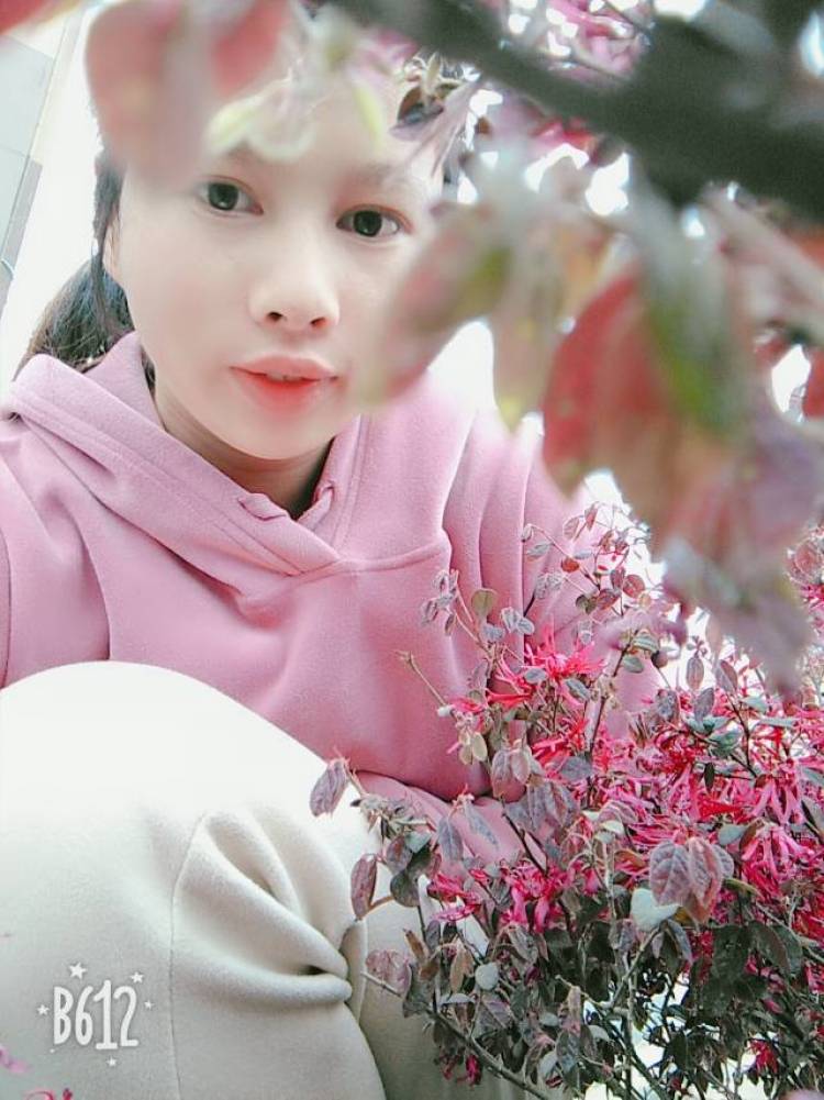 🍀 🍀 刺猬的优雅-湖北省·黄冈市·浠水县--爱拍照,会修图,各种风格都可以驾驭 复古风 港风 ins 小清新 冷淡风 温柔风 软妹风等等都可以 短视频 寄拍 买家秀等等 后期什么的也都会诚信合作