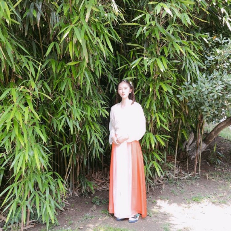 良月💫-江苏省·淮安市·涟水县--可以接寄拍,送拍。
