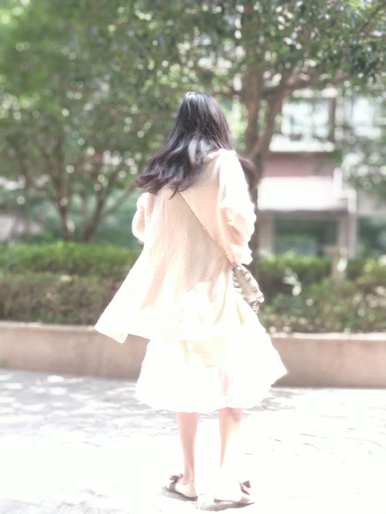 --湖北省·武汉市·洪山区--接寄拍 会p图