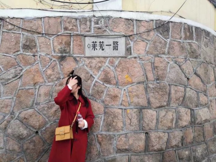 函鱼-山东省·济南市·历城区-抖音知乎-小萌新，接各种类型。