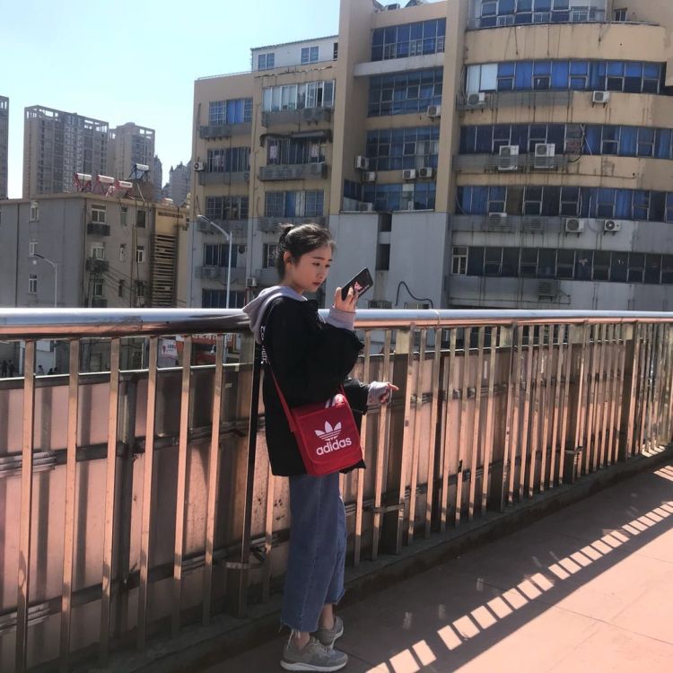 猪年大吉-安徽省·合肥市·庐阳区-抖音,朋友圈-勤劳的小蜜蜂,努力学习