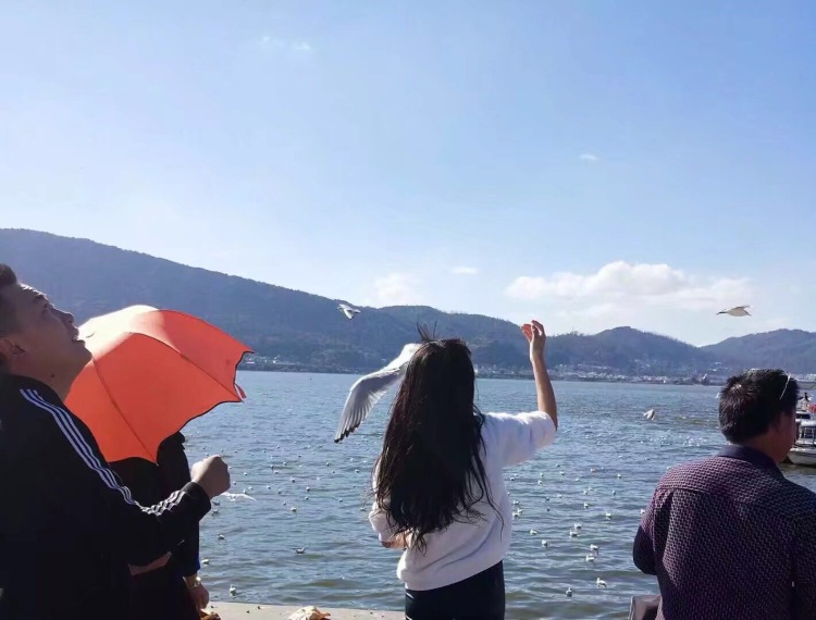 花花哟🌸-云南省·昆明市·五华区-抖音,盆友圈,快手等-本人二十岁,接网拍,身高165,体重90,会简单修图,什么都可以拍