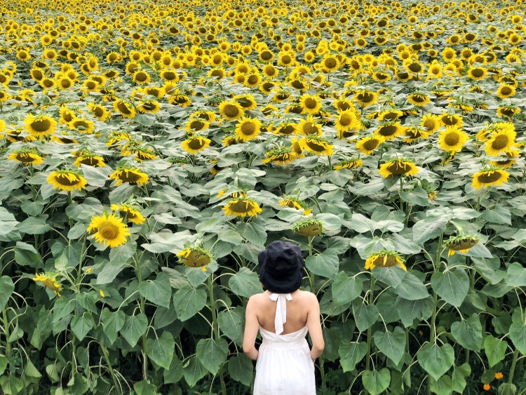 睡娃娃-北京市·北京市·海淀区--21岁,身高158,90斤。