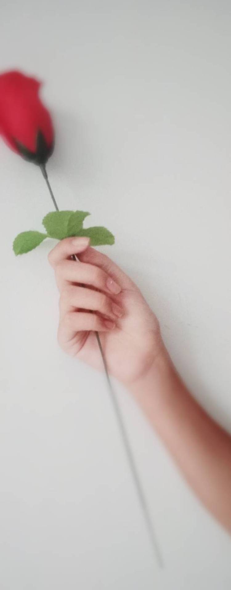 cyj-江苏省·无锡市·惠山区-抖音，微博，朋友圈-会p图🙆 ，寄拍，可接到类似手链的，手详细如图，衣服也可以嗷，啥都可以✨ 🎐寄拍寄拍