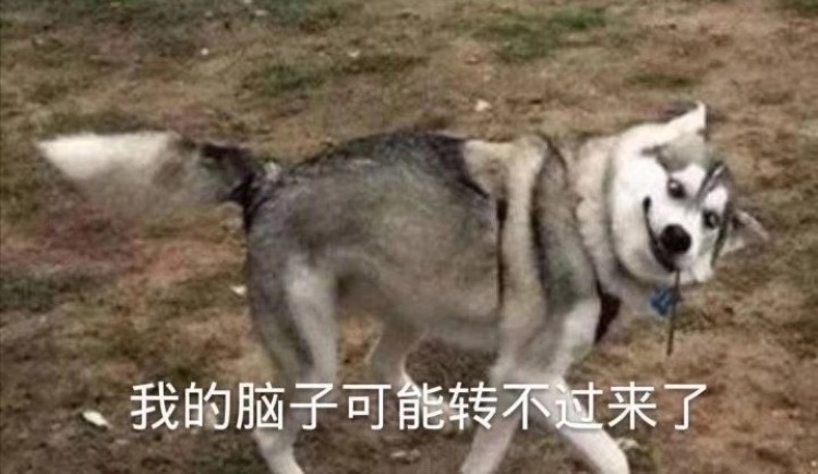 又凶又可爱-广东省·东莞市·清溪镇--没啥事