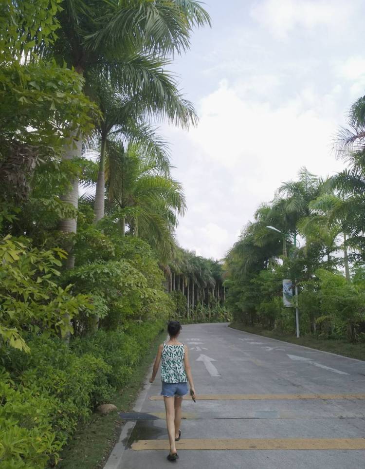 🔆-广东省·中山市·火炬开发区-微博-网拍寄拍 447