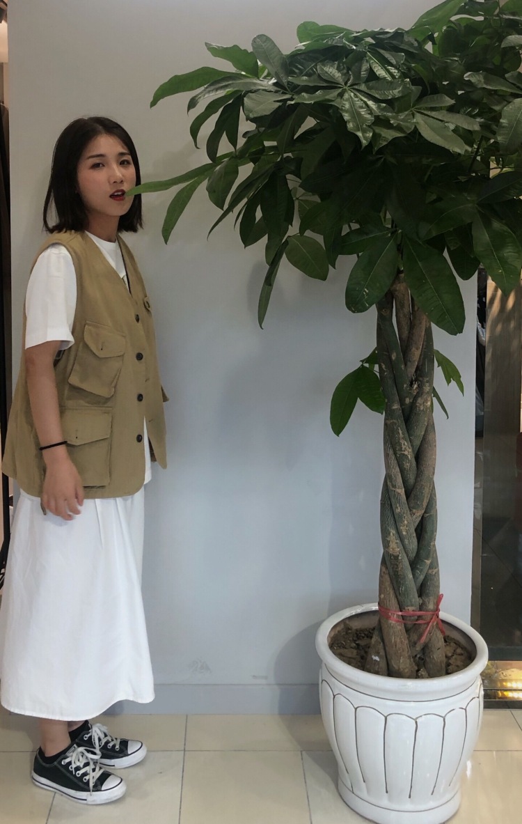 小飞侠-江苏省·徐州市·邳州市-***-网拍