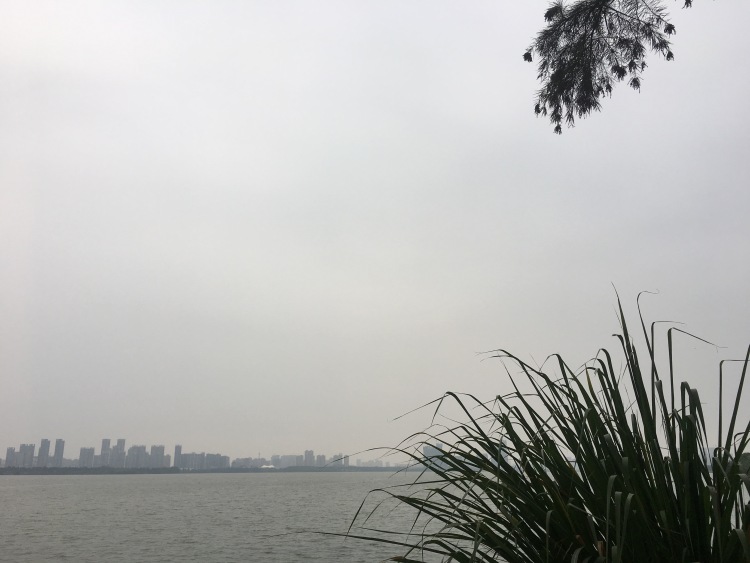 Victory1399.耳环饰品集-广东省·广州市·天河区-抖音微博***知乎-静物拍摄 买家秀 后期修图