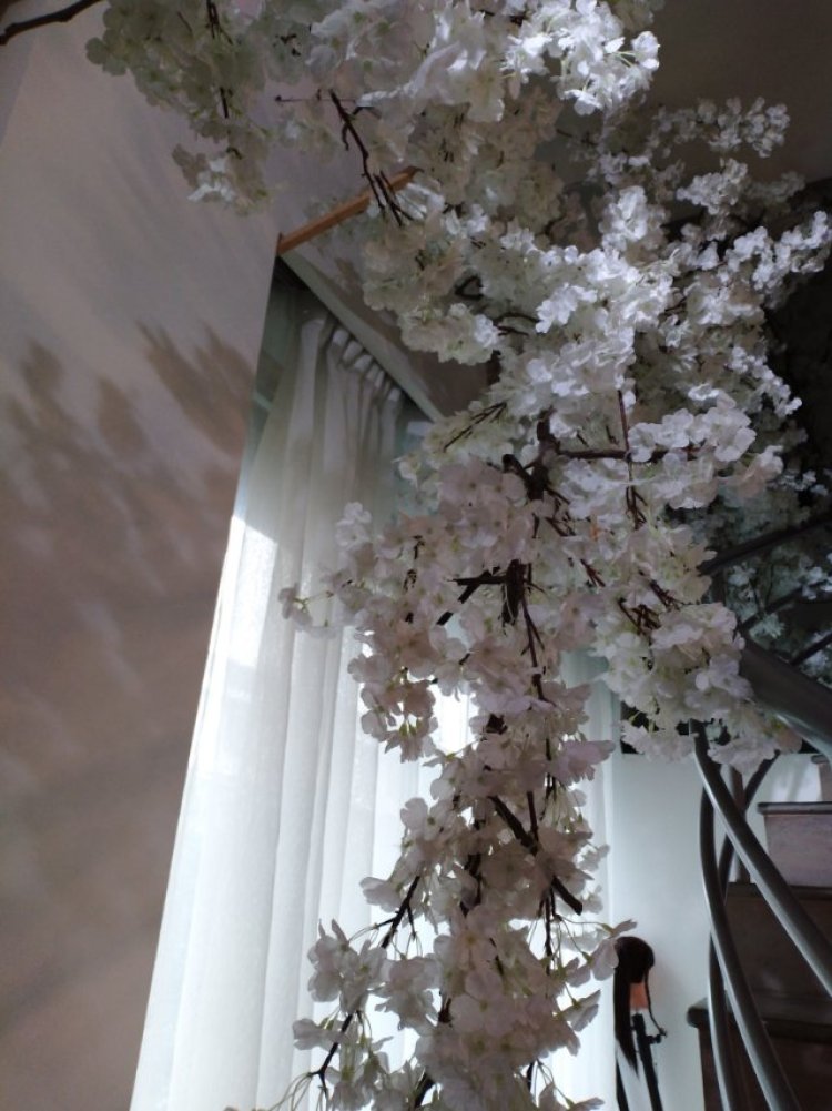 沸腾鱼-四川省·广元市·苍溪县-抖音,-拍摄植物拍摄人物,喜欢拍摄