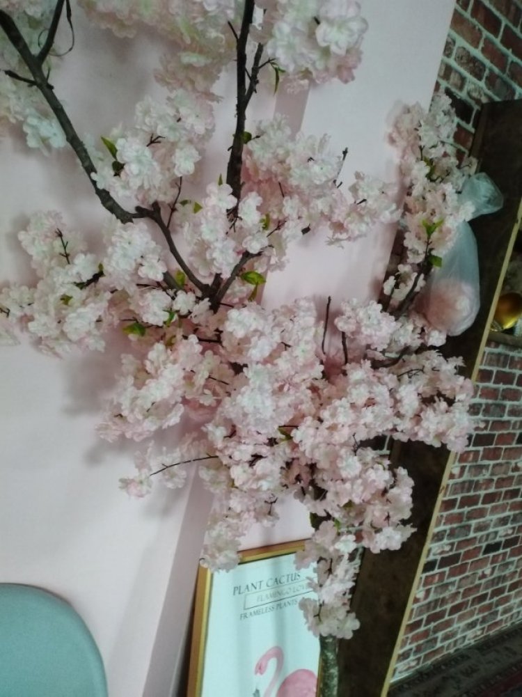 沸腾鱼-四川省·广元市·苍溪县-抖音,-拍摄植物拍摄人物,喜欢拍摄