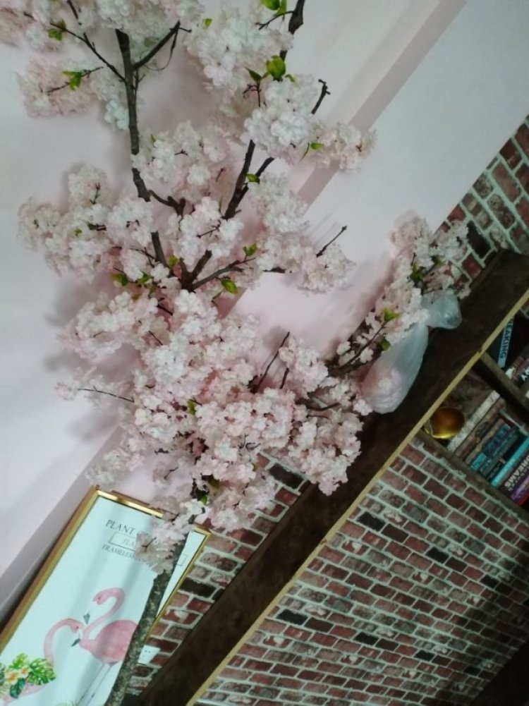 沸腾鱼-四川省·广元市·苍溪县-抖音,-拍摄植物拍摄人物,喜欢拍摄