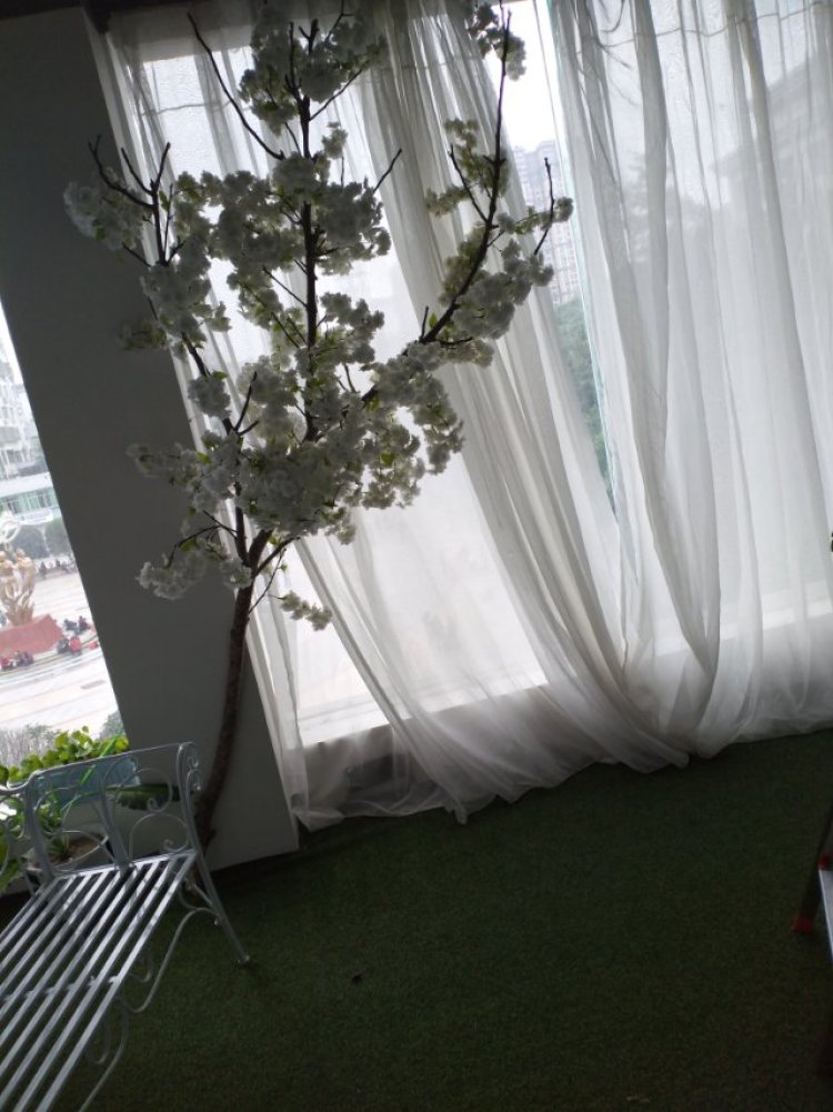 沸腾鱼-四川省·广元市·苍溪县-抖音,-拍摄植物拍摄人物,喜欢拍摄