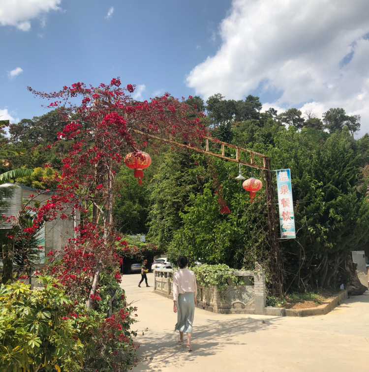 Molly-云南省·保山市·隆阳区--会拍照 会修图 (美瞳 衣服 耳环 项链 鞋)什么风格都可以拍 全国可邮寄