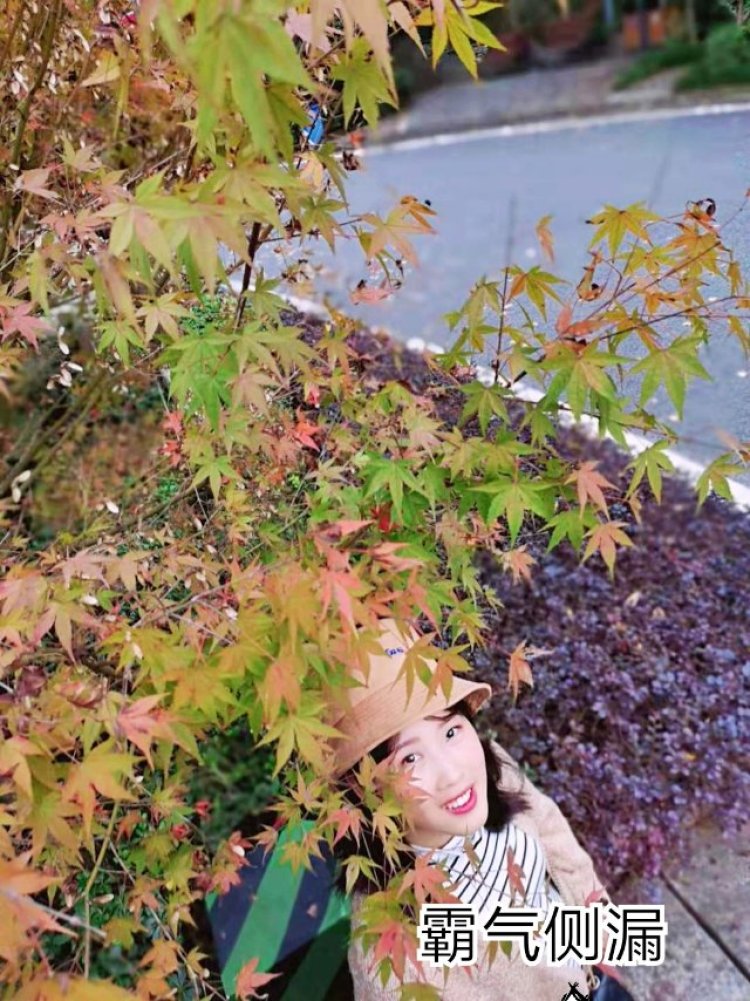 柚夏-重庆市·重庆市·南岸区-抖音 快手 -重庆园博园,不止这一个,还有很多好地方