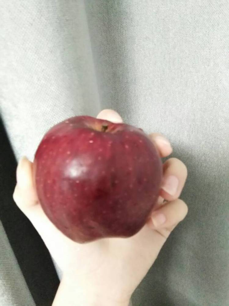 陈莫 💚-河北省·邯郸市·武安市-快手 抖音-网拍 爱拍照 买家秀反馈
会p图 手模 等