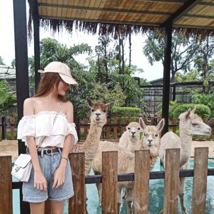 茕茕白兔-广东省·东莞市·中堂镇-快手-可拍各种风格服装，饰品，鞋子，擅长调滤镜和后期修图，不露脸。