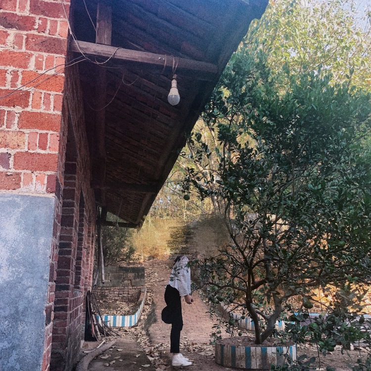 栗子🌰-江西省·南昌市·东湖区--新手请多多支持♡
网拍
寄拍 送拍 买家秀拍都可以的♡
会p图
拍照技术也正在改进正在练习♡