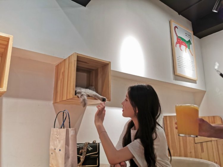 秋乏-湖北省·武汉市·武昌区-快手 抖音 微博-接网拍 短视频拍摄 身高166体重98斤 快手粉丝600~700 有大量时间可以拍摄 会拍照会P图 服装包包鞋子项链美瞳指甲油食品等都接 新手请多多关照