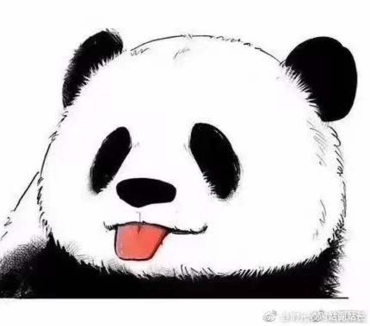 这里网拍单子很多，很正规很专业，我坚信一定可以挣到很多钱